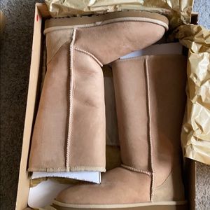 NIB Womens Size 8 Ugg Classic Tall boots